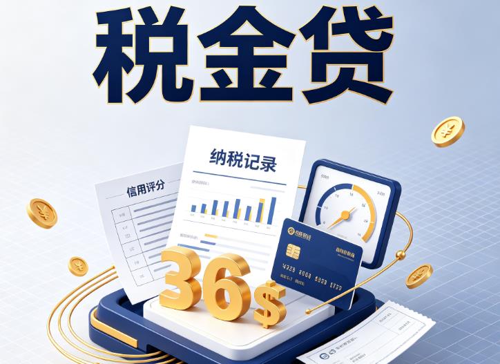 宁波北仑区1企业税贷|宁波北仑区1企业设备回租|宁波北仑区1税贷过桥